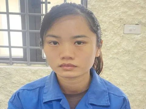 Khởi tố "nữ quái" chiếm đoạt 73 thùng pháo hoa, trị giá gần 700 triệu đồng