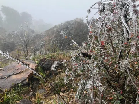 Không khí lạnh cực mạnh bao phủ miền Bắc, nhiệt độ giảm sâu, trời rét buốt đến khi nào?