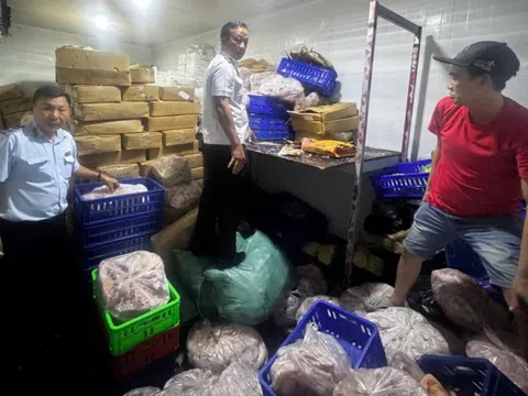 TP.HCM, phát hiện hơn 700kg thịt cá biển, thịt heo, thịt vịt không rõ nguồn gốc chuẩn bị tiêu thụ