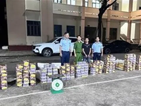 Đồng Nai: Bắt giữ đối tượng tàng trữ, vận chuyển hơn 300 kg pháo nổ