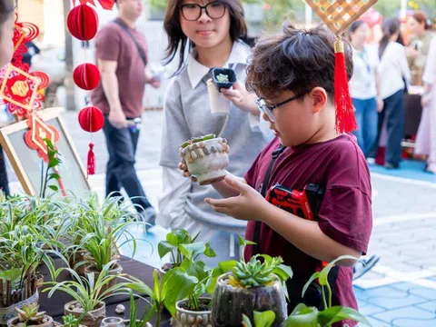 Hội hoa Xuân Sky-Line: Mùa xuân được gieo từ những mầm xanh