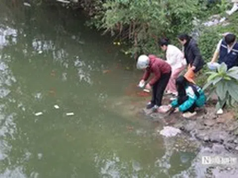 Ngày cúng ông Công, ông Táo: Cá chép "ngộp thở" vì tro rác phủ kín mặt sông