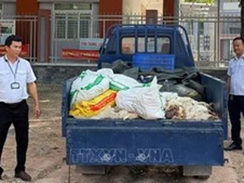 TP Hồ Chí Minh phát hiện, xử lý vụ vận chuyển gà chết đi tiêu thụ