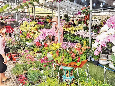 Những người bán hoa tết