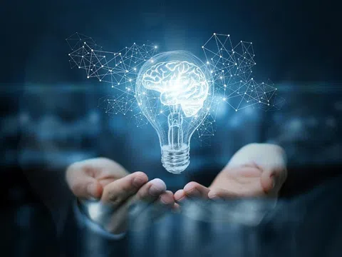 Triển khai thi hành Luật sửa đổi, bổ sung một số điều của Luật Sở hữu trí tuệ