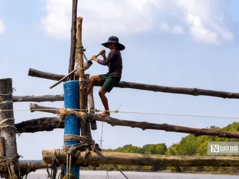 Theo chân ngư dân Đất Mũi mưu sinh bằng nghề đóng đáy