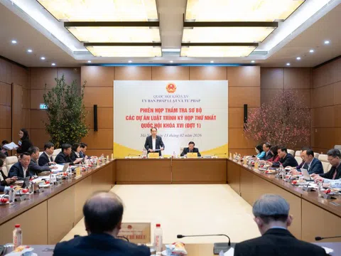 Phiên họp thẩm tra sơ bộ các dự án luật trình Kỳ họp thứ Nhất, Quốc hội khóa XVI