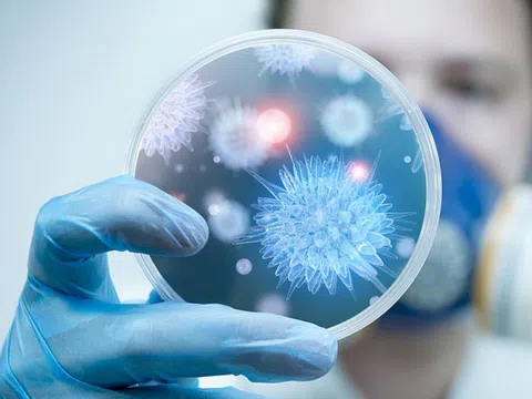 Bộ Y tế khuyến cáo người dân hạn chế đến khu vực có dịch bệnh do virus Nipah