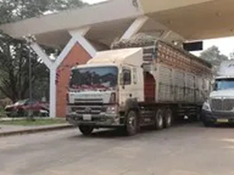 Các bộ họp tháo gỡ vướng mắc về thông quan thực phẩm