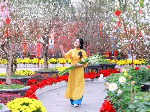 Miền Bắc đón không khí lạnh dồn dập, trời trở rét ngày cuối năm