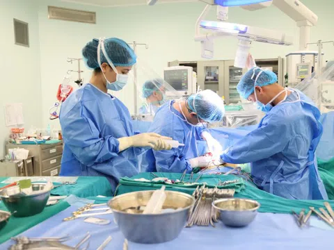 Ca ghép gan cấp cứu ngày 27 Tết Bính Ngọ