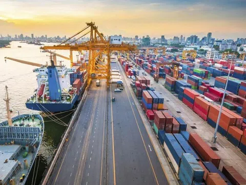 Doanh nghiệp kiến nghị Chủ tịch Quốc hội về phí hạ tầng cảng biển