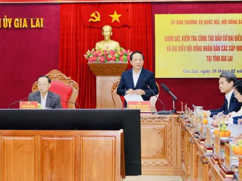 Trưởng Ban Tuyên giáo và Dân vận Trung ương làm việc với tỉnh Gia Lai về công tác bầu cử