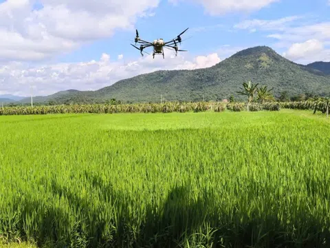 Tương lai mới trên những “cánh đồng không dấu chân”