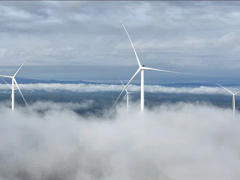 T&T Group cam kết hành động thực chất về chuyển đổi số, chuyển đổi xanh