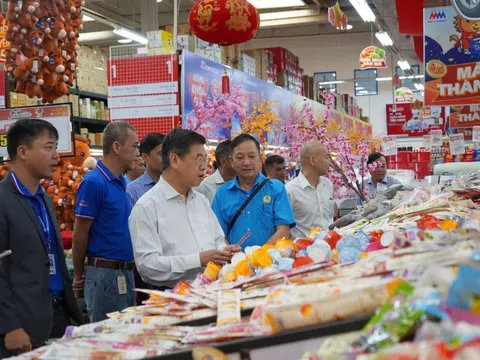 TPHCM: Nguồn hàng Tết dồi dào, giá cả ổn định