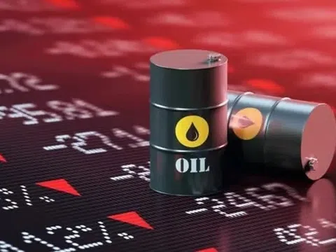 Thị trường hàng hóa ‘đỏ lửa”, MXV-Index lao xuống vùng 2.400 điểm