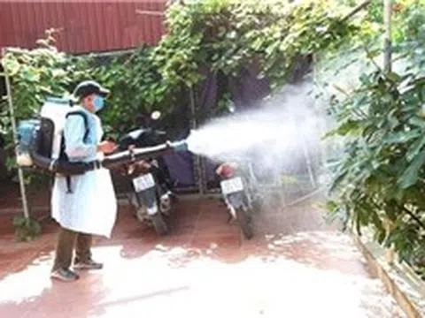 Phát hiện sớm và xử lý kịp thời, triệt để ổ dịch sốt xuất huyết, không để lây lan