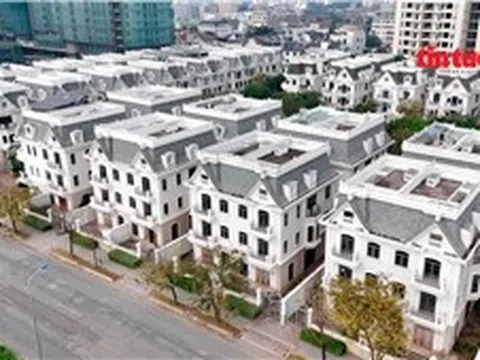 TP Hồ Chí Minh: Nhà phố, biệt thự tiền tỷ để hoang tàn nhiều năm ở Cát Lái