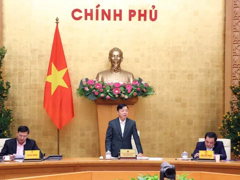 Gỡ 'thẻ vàng' IUU: Rà soát toàn diện, sẵn sàng cho đợt kiểm tra của EC