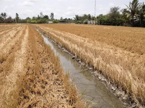 Chủ động ứng phó xâm nhập mặn, hạn hán và cháy rừng tại các tỉnh phía Nam