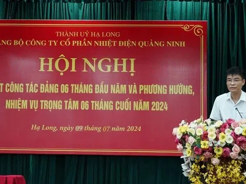 Vai trò của ông Lê Việt Cường tại Nhiệt điện Quảng Ninh trước khi bị khởi tố