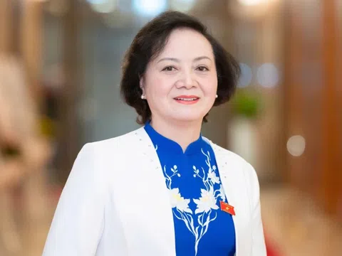 Nhân sự khối Chính phủ, Quốc hội ứng cử ĐBQH khóa XVI