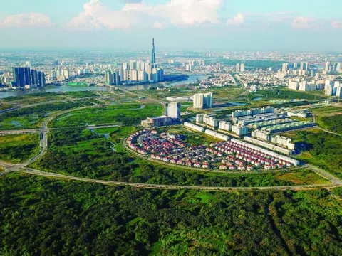 Lập đường dây nóng tiếp nhận, xử lý thông tin vi phạm quản lý và sử dụng đất đai