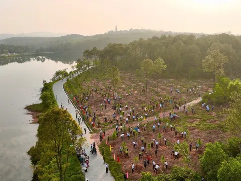 Công viên "ma mị" từng lên báo nước ngoài thay đổi diện mạo mới