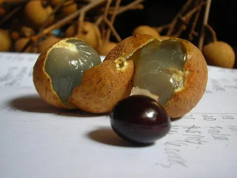 Loại quả quen thuộc khiến bé chưa đầy 2 tuổi nguy kịch, nhiều phụ huynh vẫn chủ quan