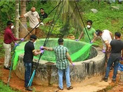 Cuộc đua khống chế ổ dịch từ virus Nipah ở Ấn Độ và nỗi ám ảnh y tế toàn cầu