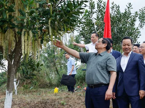 Thủ tướng Phạm Minh Chính: Cần biến núi rừng Tây Bắc trùng điệp thành của cải vật chất