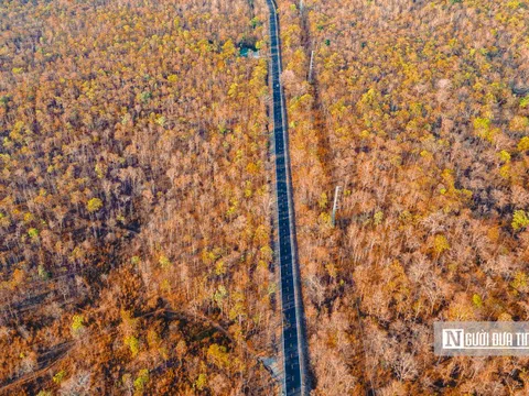 Ngắm rừng khộp Yok Đôn mùa thay lá rực sắc giữa đại ngàn Tây Nguyên