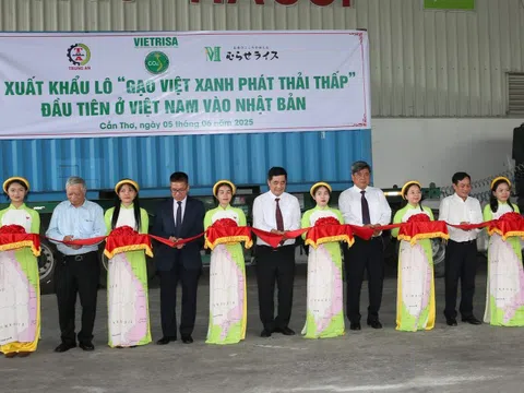 Giữ vững nhịp xuất khẩu gạo bằng chiến lược chất lượng cao