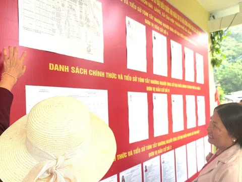 Rực sắc cờ đỏ, sẵn sàng ngày bầu cử tại xã đảo ở Đà Nẵng