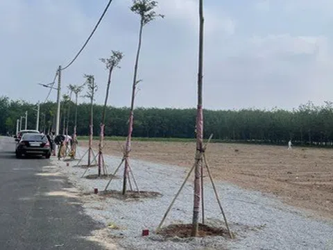 HoREA: Đề xuất bổ sung cơ chế xử lý “lối đi chung” khi hợp thửa đất tại Tp.HCM