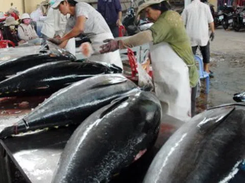 Xuất khẩu cá ngừ sang Canada tăng mạnh