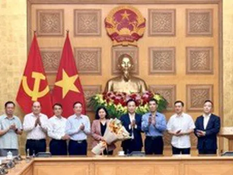 Đồng chí Nguyễn Thị Tuyến giữ chức Bí thư Đảng ủy các cơ quan tham mưu, giúp việc của Đảng ủy Chính phủ