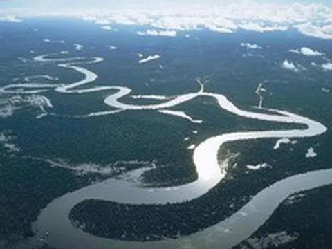 Chức năng và cơ cấu tổ chức của Ủy ban sông Mê Công Việt Nam