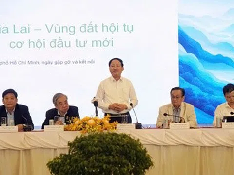 Gia Lai “gửi lời mời” tới doanh nghiệp Tp.HCM: Vào nhanh, làm thật, chậm chân sẽ hết cơ hội