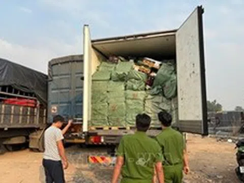 Tạm giữ hơn 28,8 tấn thực phẩm đông lạnh không rõ nguồn gốc