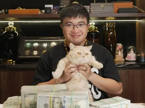 Toàn bộ quá trình xây dựng "đế chế" lừa đảo Mr Pips