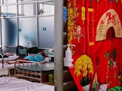 Những người không có Tết do sốt xuất huyết Dengue