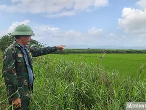 Chuyện về "lão nông" ở phá Hạc Hải - Kỳ cuối: Mô hình kinh tế cho thu nhập "khủng"