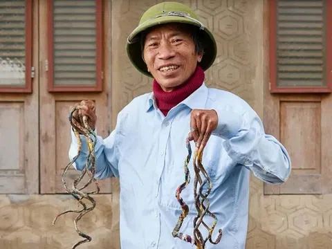 Họa sĩ Việt lập kỷ lục Guinness với bộ móng tay dài gần 6m