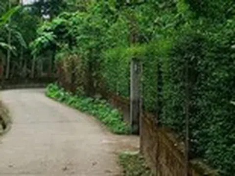 Mùa xuân về Huế, thong dong ở làng Thủy Biều cổ xưa