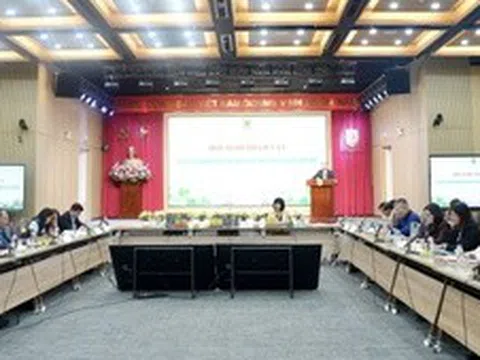 Quy định rõ về quyền và nghĩa vụ của người được mời tham gia hoà giải ở cơ sở