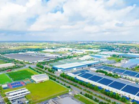 IMC đồng hành cùng doanh nghiệp nâng cao năng lực quản trị và tuân thủ thuế