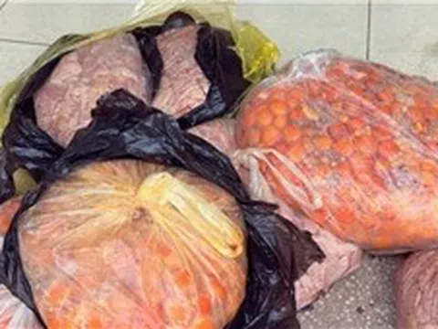 Bắt giữ gần 1 tạ thực phẩm bẩn vận chuyển qua biên giới