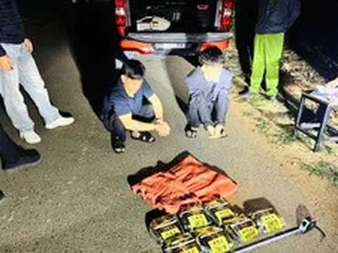 Hải quan liên tiếp triệt phá đường dây ma túy lớn